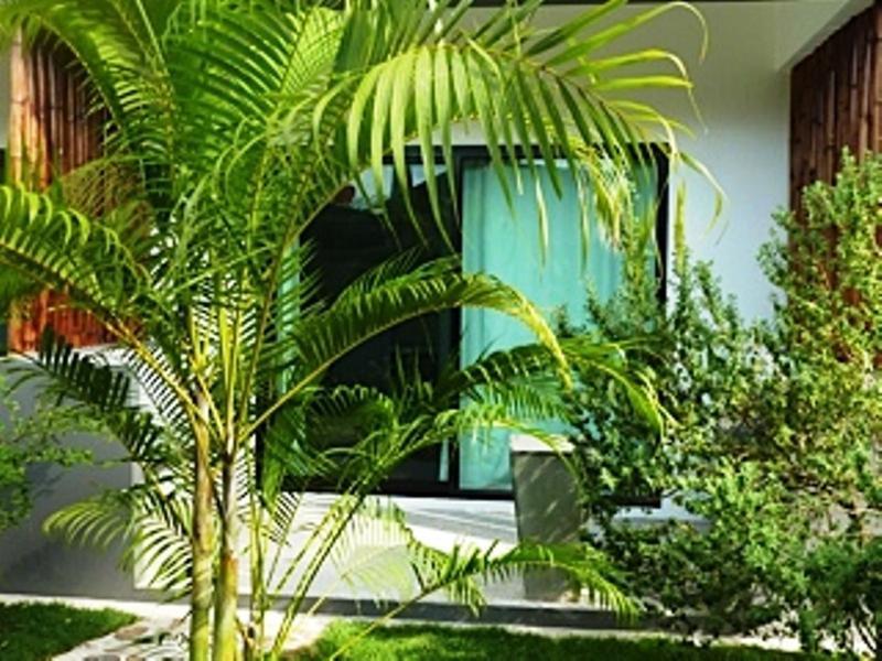 Sairee Sairee Guesthouse Koh Tao Exterior photo