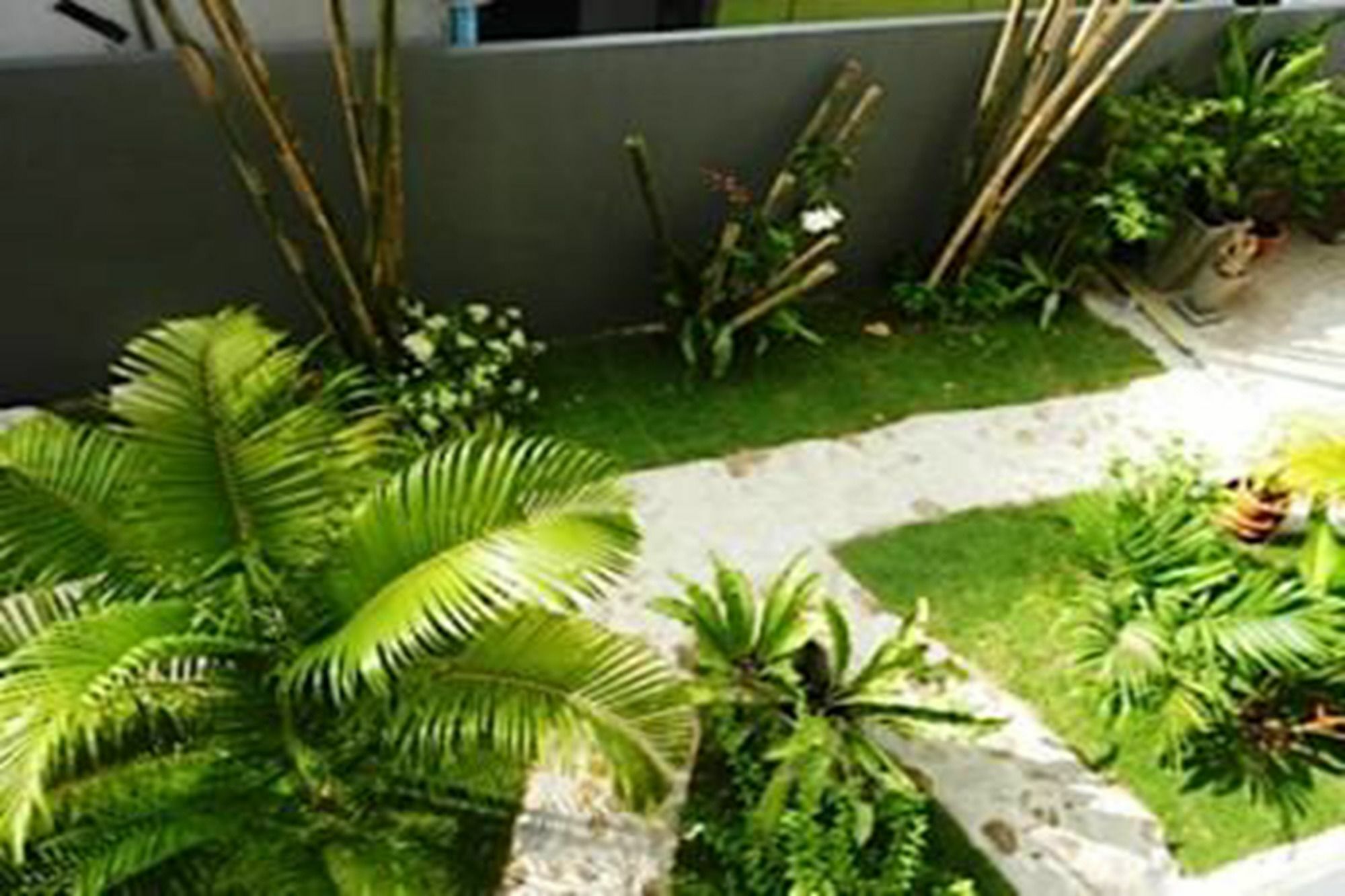 Sairee Sairee Guesthouse Koh Tao Exterior photo